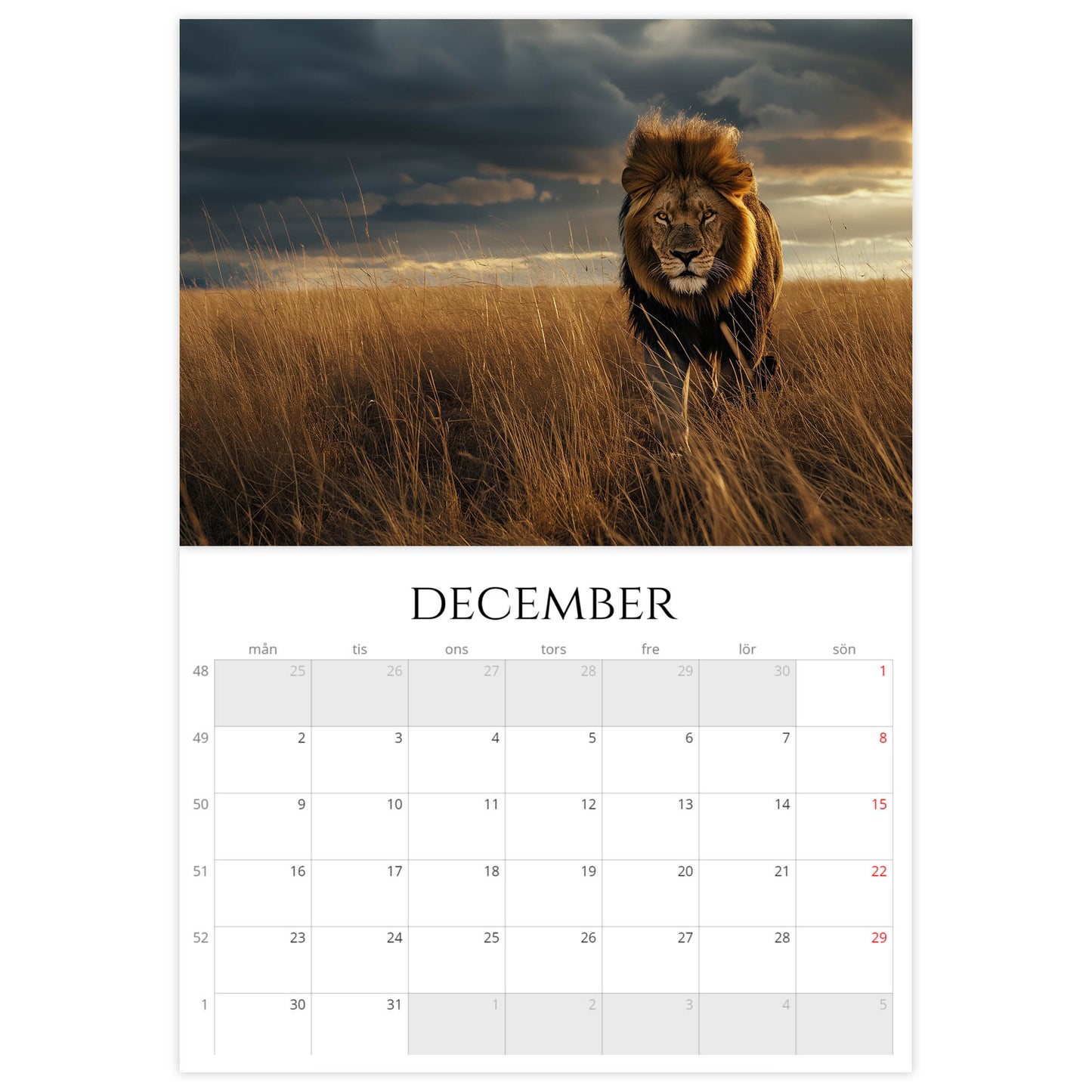 »Colorful Safari, 1« Väggkalender 2024
