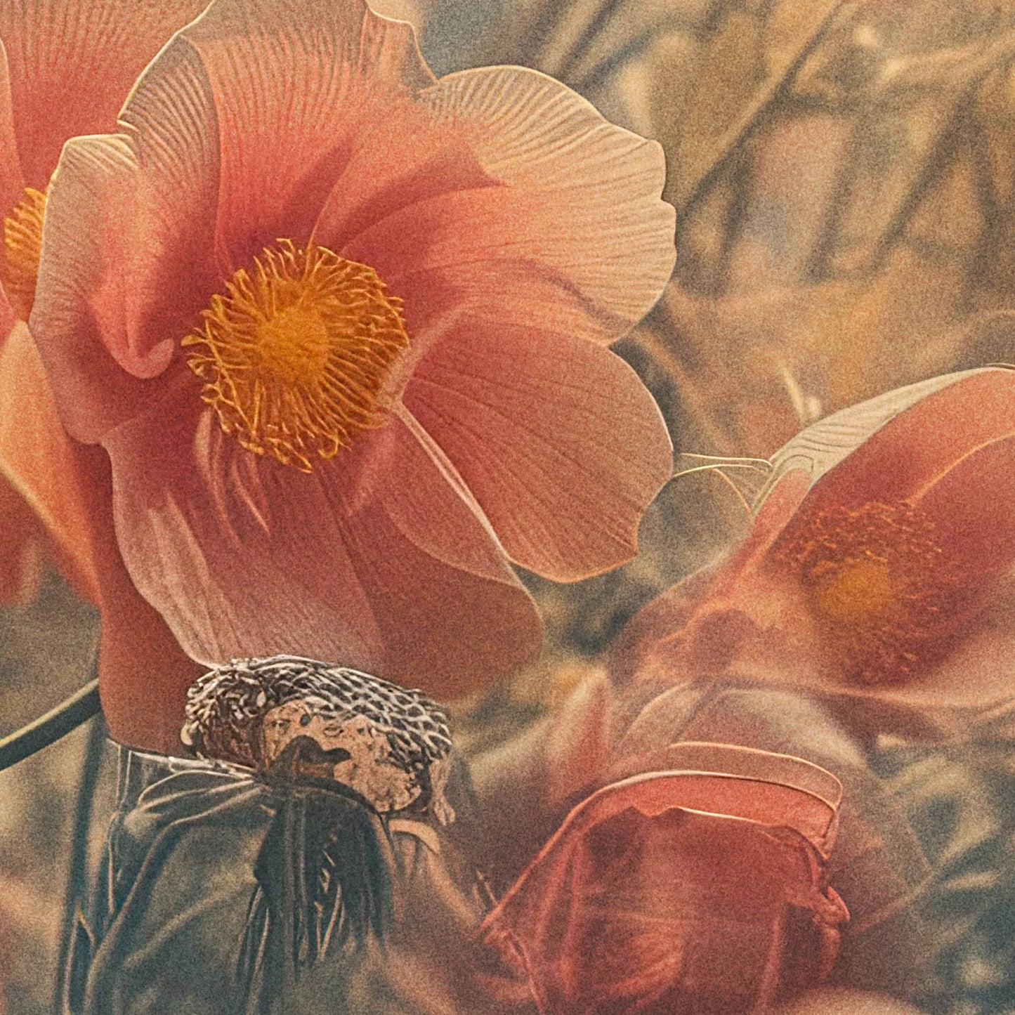»Whirling Petals«, poster i fri fotografisk stil