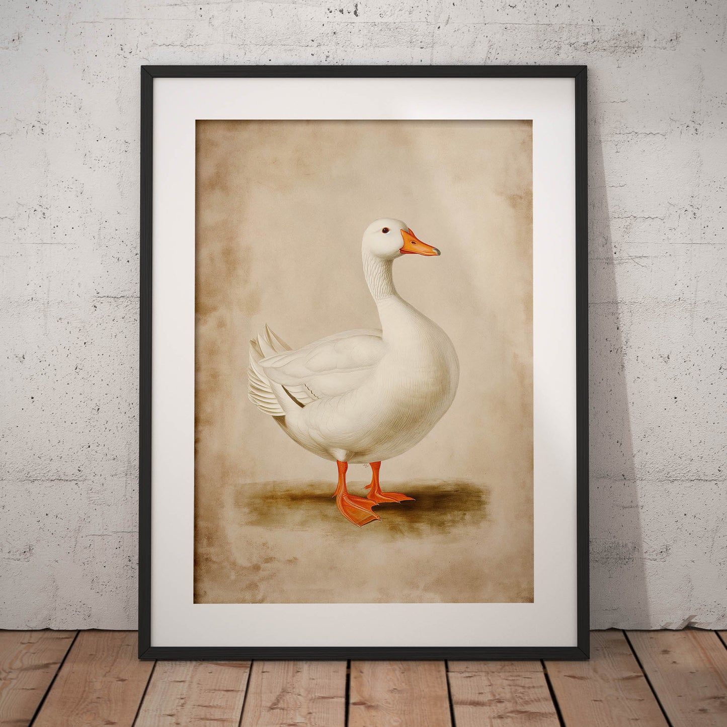 »Duck« zoologisk vintageposter