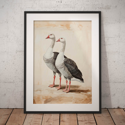 »Geese« zoologisk vintageposter