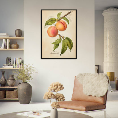 »Peach« botanisk vintageposter