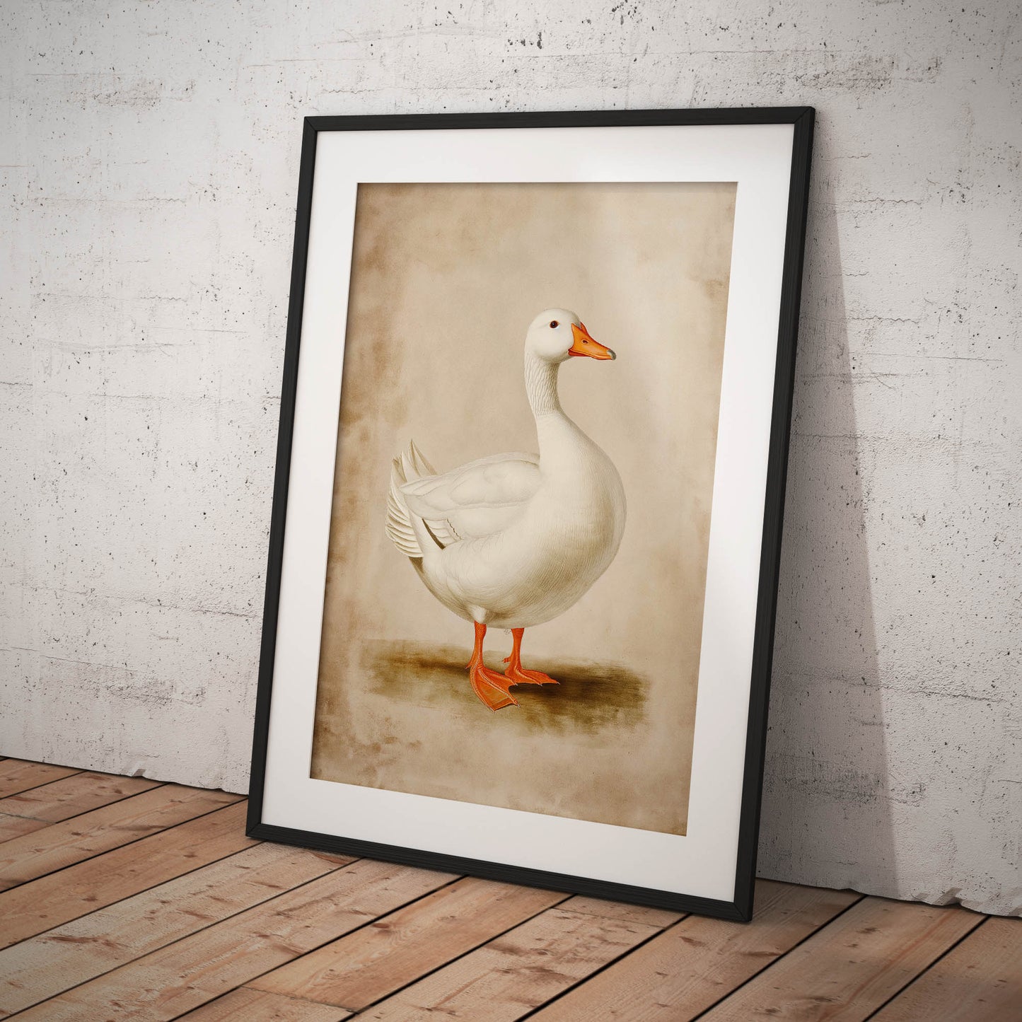 »Duck« zoologisk vintageposter