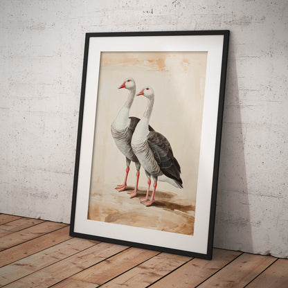 »Geese« zoologisk vintageposter