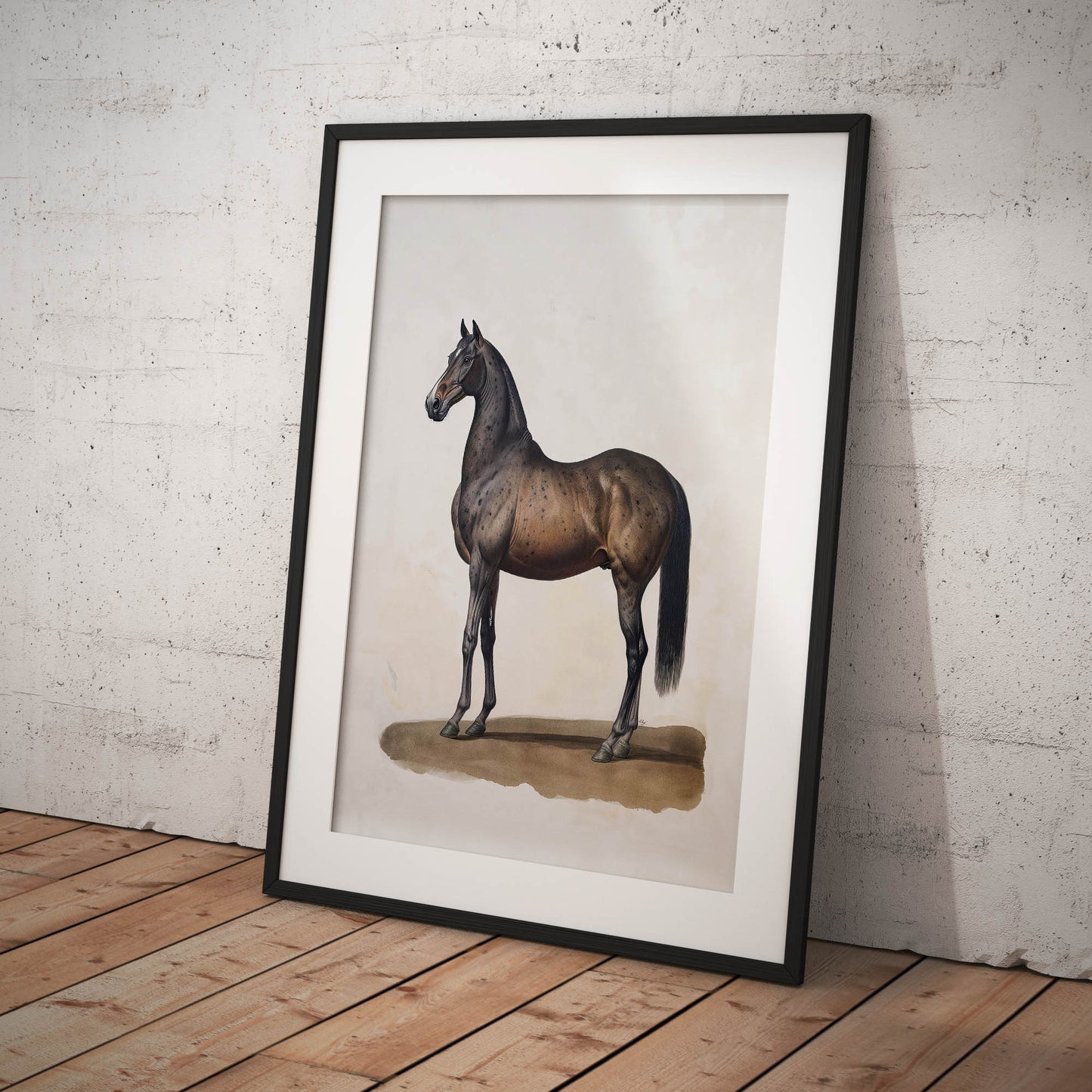 »Horse« zoologisk vintageposter