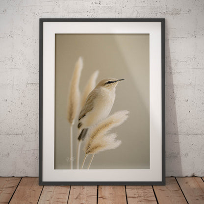 »Bird and Grass« designposter