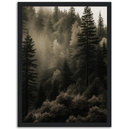 »Spruce Forest« designposter