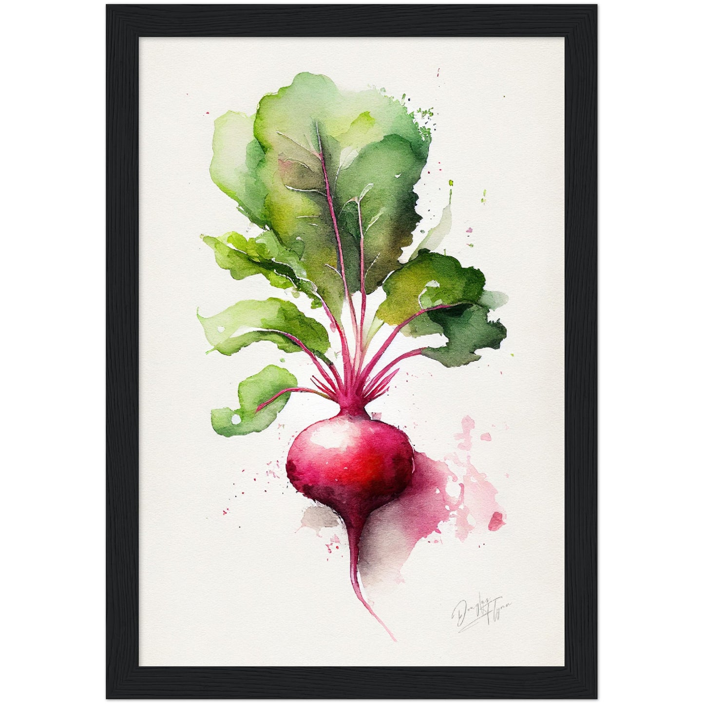 »Radish Meditations in Watercolor« retro poster