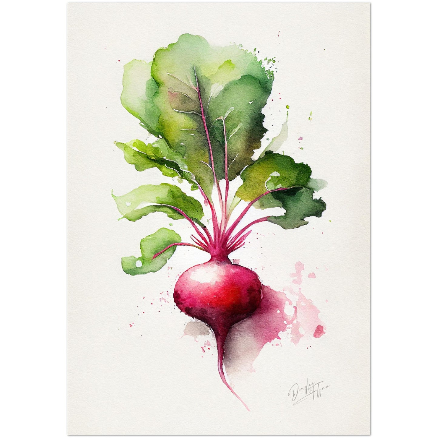 »Radish Meditations in Watercolor« retro poster