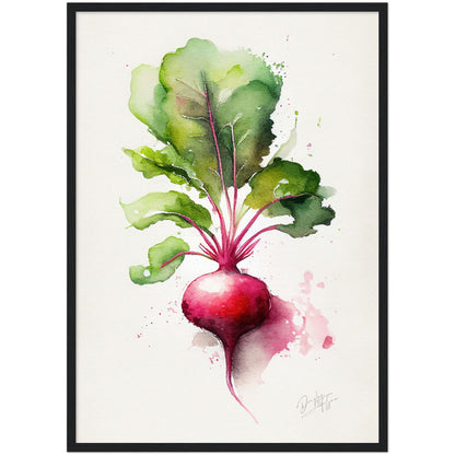 »Radish Meditations in Watercolor« retro poster