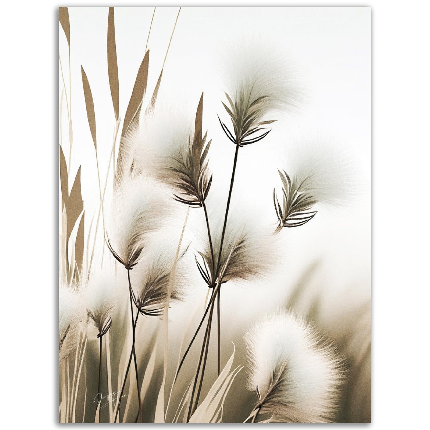 »Cutton Grass« designposter