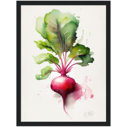 »Radish Meditations in Watercolor« retro poster