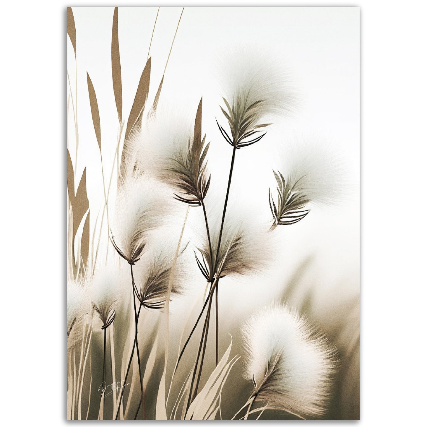 »Cutton Grass« designposter