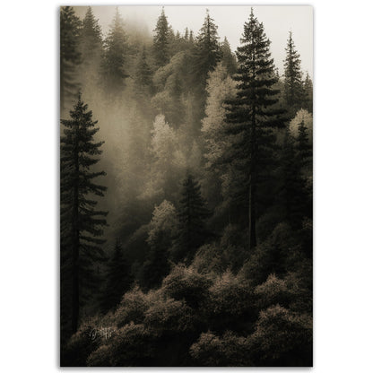 »Spruce Forest« designposter