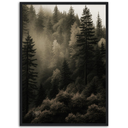 »Spruce Forest« designposter