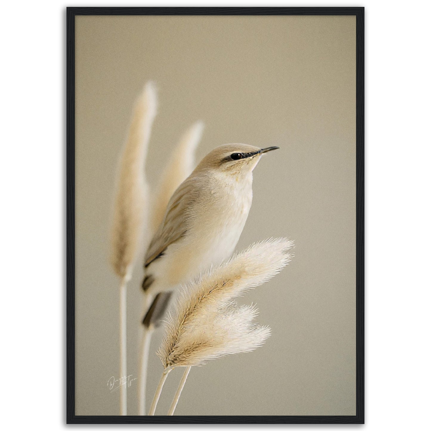 »Bird and Grass« designposter