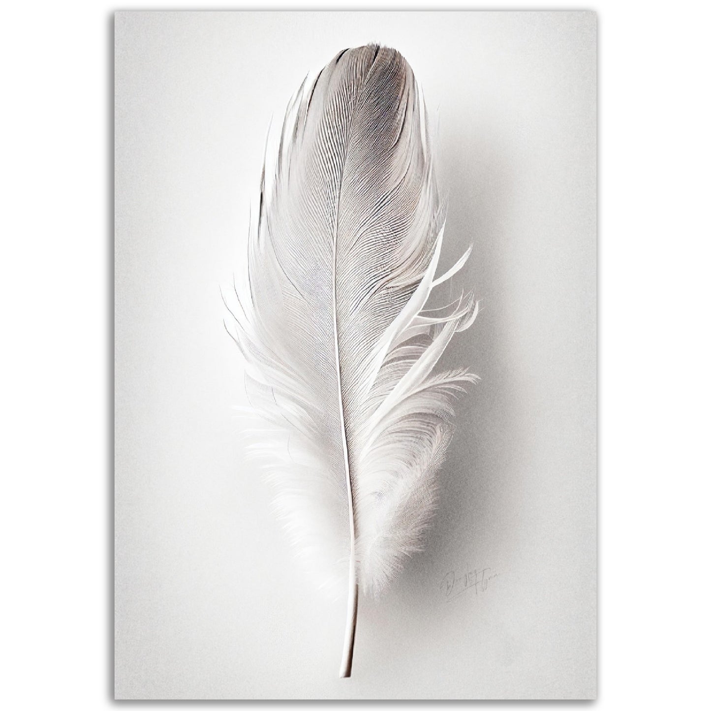 »Found a White Feather no 2« designposter