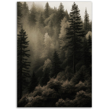 »Spruce Forest« designposter