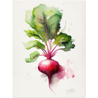 »Radish Meditations in Watercolor« retro poster