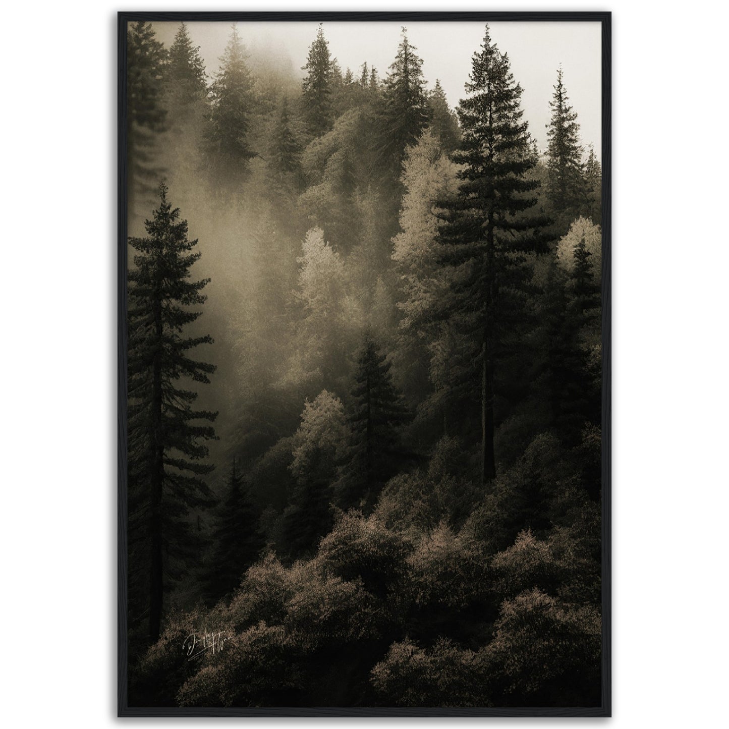 »Spruce Forest« designposter